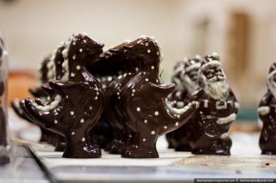 Как устроено производство шоколадных сладостей. Фото