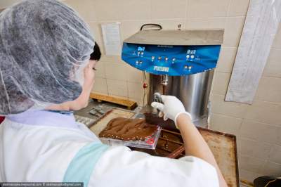 Как устроено производство шоколадных сладостей. Фото