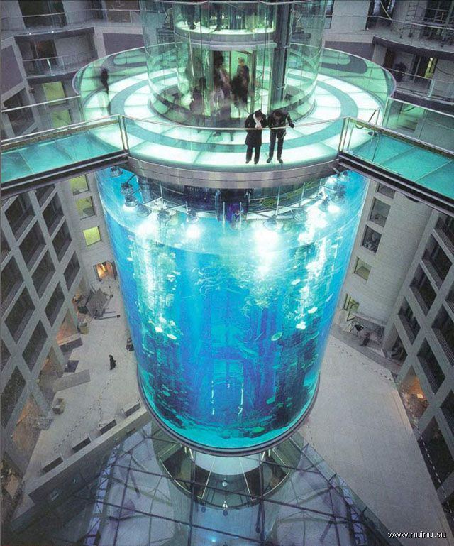 Для базы отдыха Нацбанка купили стеклянный лифт за полмиллиона