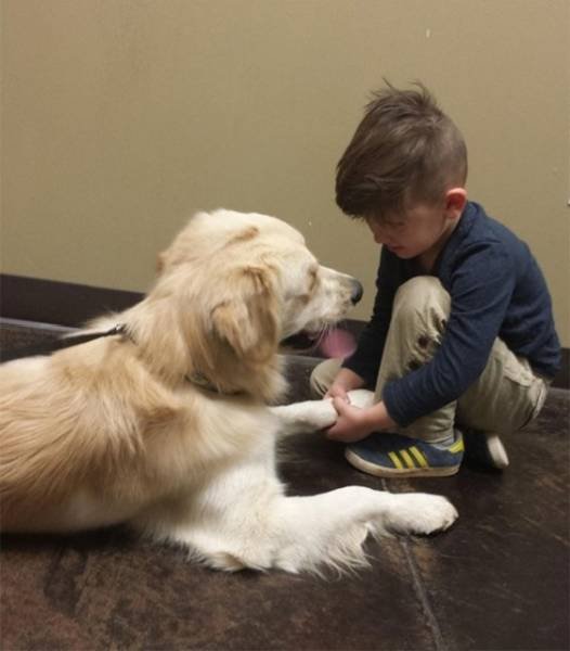 Дети и собаки — лучшие друзья