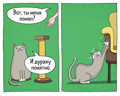 Юморные комиксы, показывающие всю суть котов