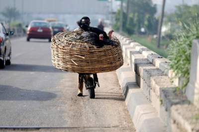 Будни современной Нигерии в ярких снимках. Фото