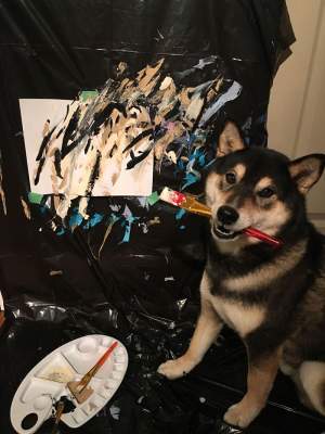 Эта собака заработала своими картинами 5 тысяч долларов. Фото