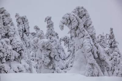 Фотограф показал, как выглядит зима в польских горах. Фото