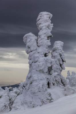 Фотограф показал, как выглядит зима в польских горах. Фото