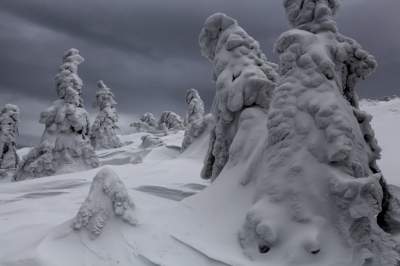 Фотограф показал, как выглядит зима в польских горах. Фото