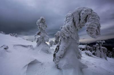 Фотограф показал, как выглядит зима в польских горах. Фото