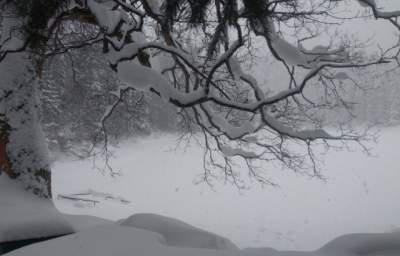 Озеро Синевир в впечатляющих зимних пейзажах. Фото