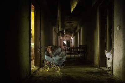 Бультерьер, позирующий хозяйке в заброшенных зданиях. Фото