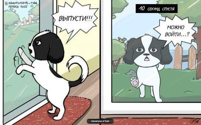 Смешные комиксы о жизни маленькой собачки