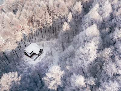 Фотограф показал, как выглядит зима в Японии. Фото