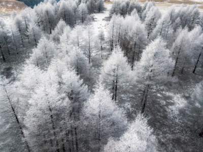 Фотограф показал, как выглядит зима в Японии. Фото