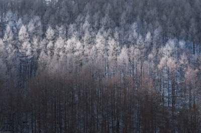 Фотограф показал, как выглядит зима в Японии. Фото