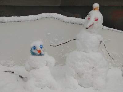 Украинцы повеселили забавными «снеговиками»