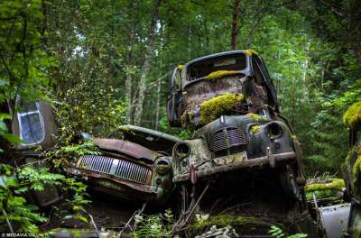 Прогулка по шведскому кладбищу автомобилей. Фото	