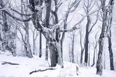 Заснеженные горы Европы в объективе талантливого фотографа. Фото