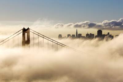 Сан-Франциско с высоты птичьего полета. Фото