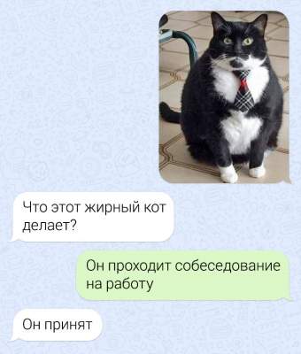 Приколы от людей, которые любят подшучивать над коллегами