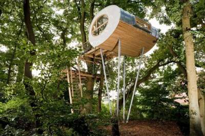 Современные домики на деревьях, которые понравятся даже взрослым. Фото