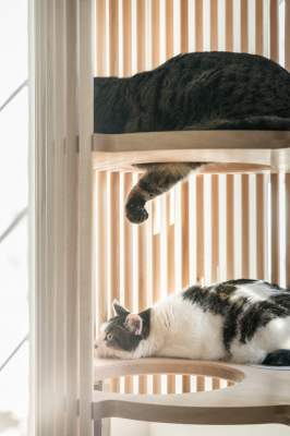 Функциональный дом-когтеточка для котов. Фото