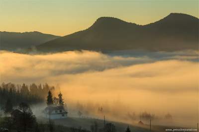 Сказочные Карпаты, окутанные туманом. Фото