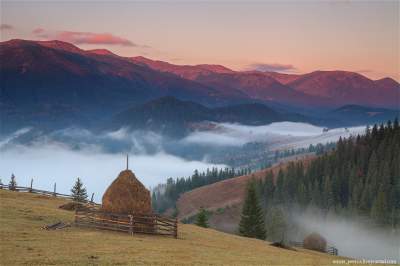 Сказочные Карпаты, окутанные туманом. Фото