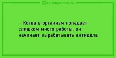 Вечерний позитив: свежие анекдоты на все случаи жизни