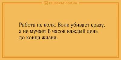 Ни дня без улыбки: подборка отличных анекдотов