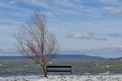 Зимняя сказка: в Венгрии замерзло самое большое озеро Европы. Фото