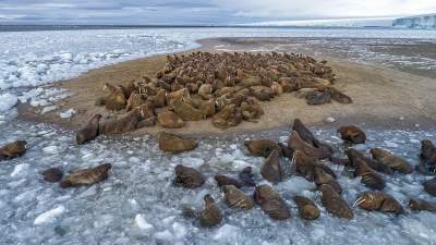 Лучшие снимки по версии Wiki Loves Earth – 2018. Фото