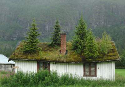 Уютные домики в Северной Европе с заросшими крышами. Фото