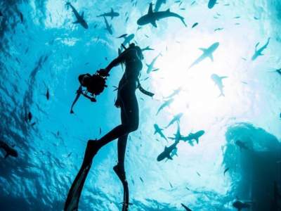 Девушка-дайвер делится в Instagram уникальными снимками акул. Фото