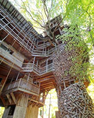 Американец построил рекордно большой дом на дереве. Фото