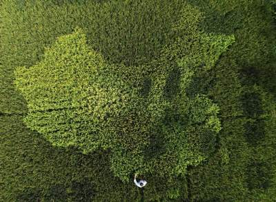 Китай в ярких снимках с высоты птичьего полета. Фото