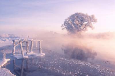 Красивые зимние рассветы в объективе белорусского фотографа. Фото