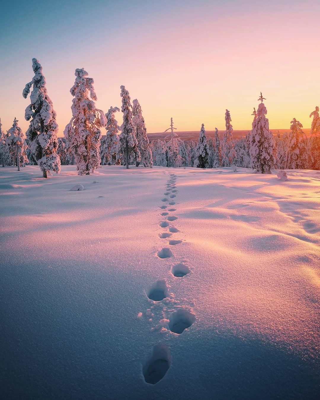 Пейзажи Финляндии на снимках Эсси Траутвейн