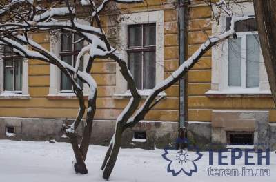 Зимняя красота заснеженного Тернополя. Фото