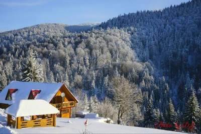 Зимняя сказка Карпатских гор. Фото