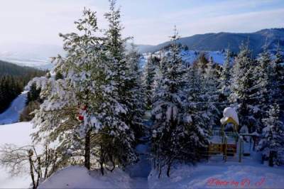 Зимняя сказка Карпатских гор. Фото
