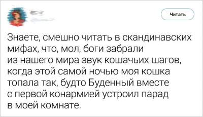 Владельцы котов написали смешные твиты о своих питомцах