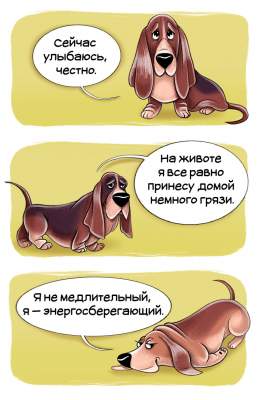 Особенности разных пород собак в прикольных комиксах