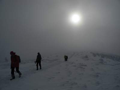 Зимние снимки заснеженных Карпат. Фото