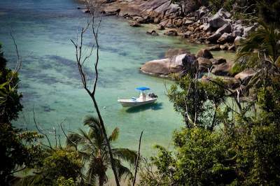 Работа мечты: на райский остров в Австралии требуется смотритель. Фото 