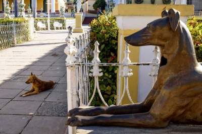 Будни жителей Кубы в ярких снимках. Фото