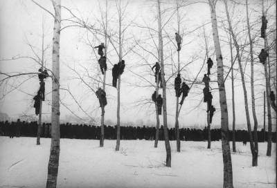 Избранные снимки советских фотографов. Фото