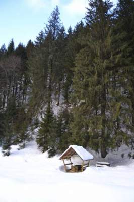 Карпатская зима в свежих пейзажах. Фото