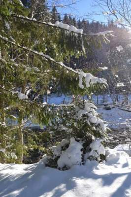 Карпатская зима в свежих пейзажах. Фото