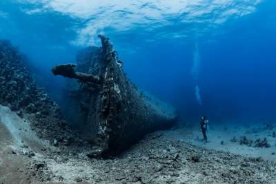 Лучшие подводные снимки по версии Ocean Art. Фото