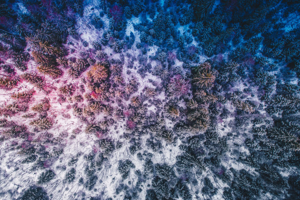 Победители ежегодного фотоконкурса Dronestagram