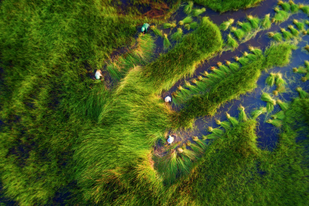 Победители ежегодного фотоконкурса Dronestagram